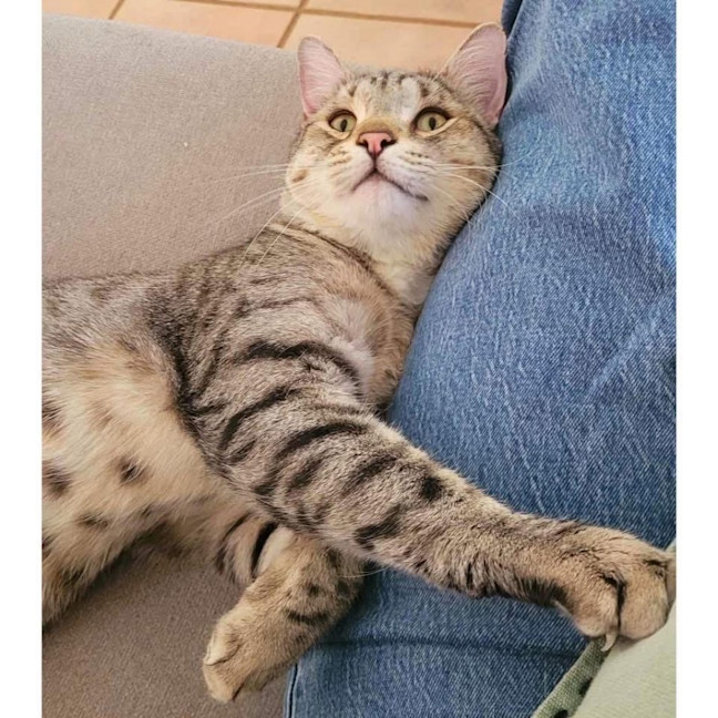 Photo of 11626   Claude