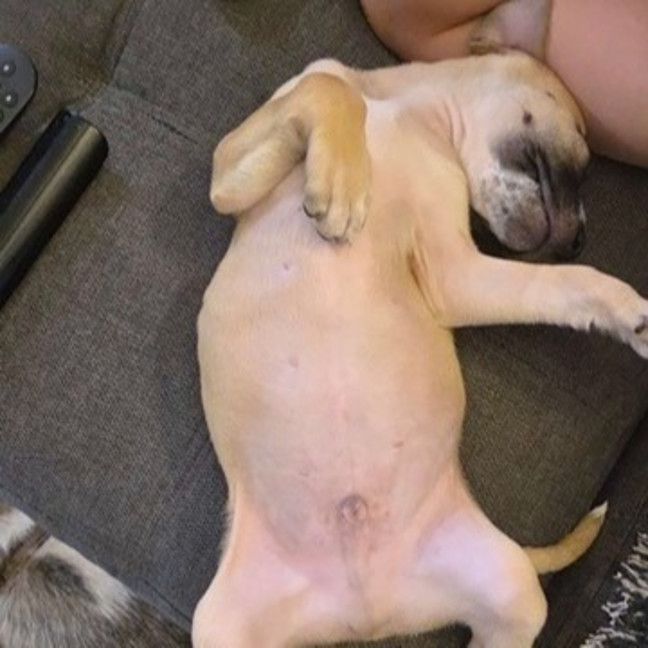 Photo of Theo