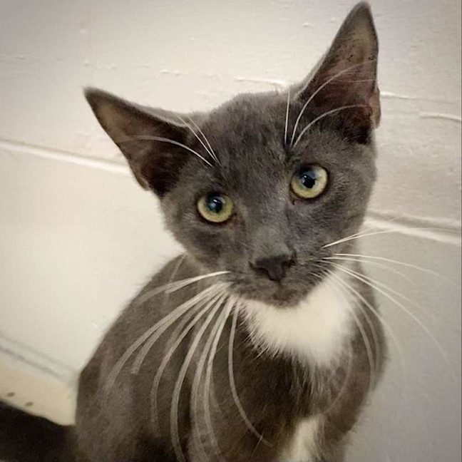 Photo of Jasper