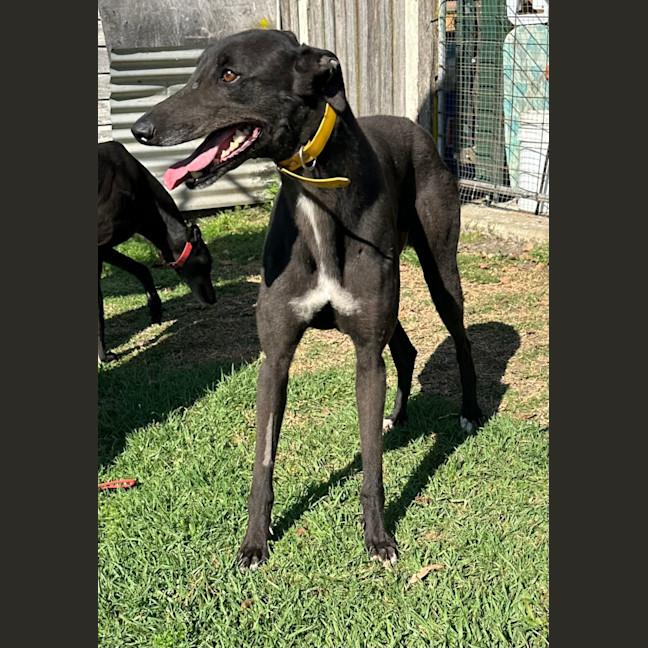 Photo of Skip