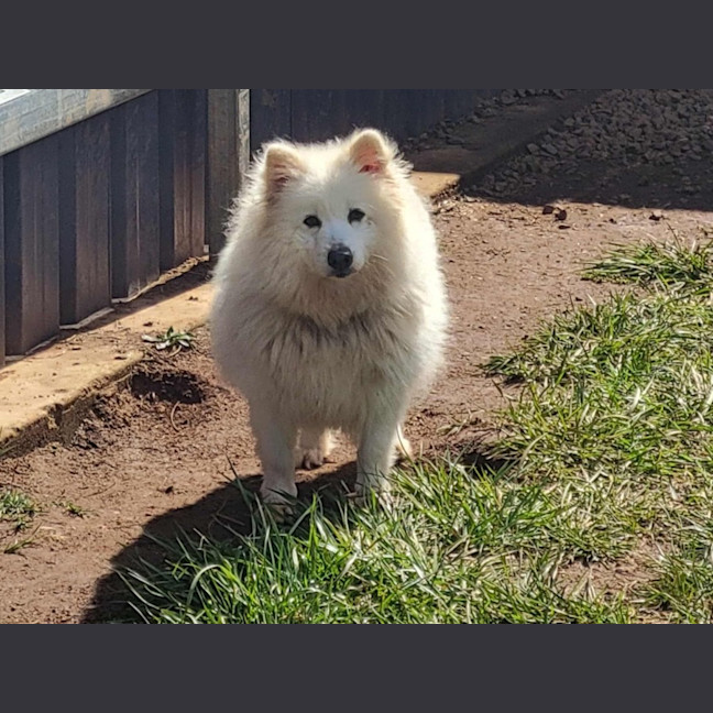 Photo of Bliss & Crystal