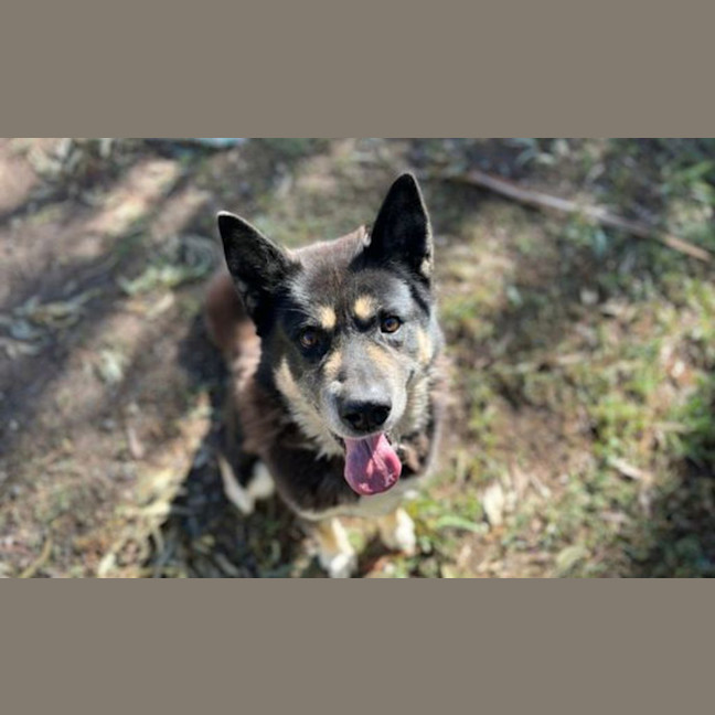 Photo of Maximus