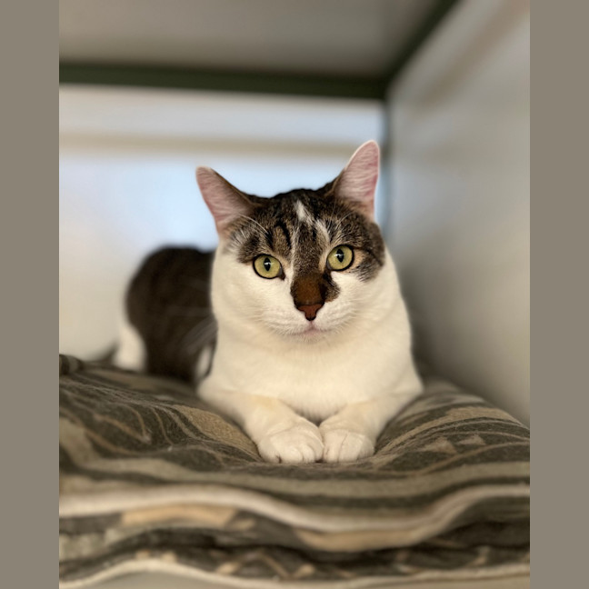 Photo of Razzmatazz