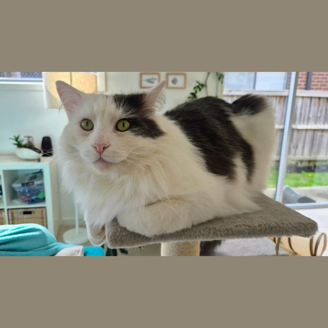 Photo of Walter 