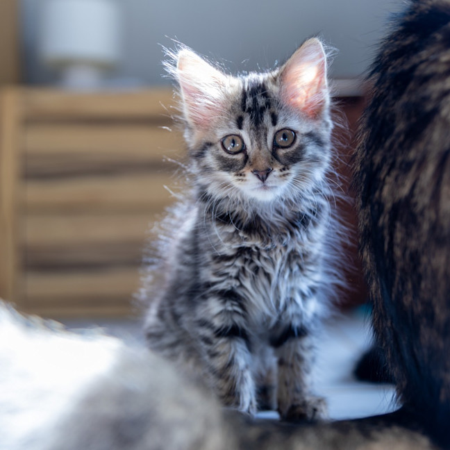 Photo of Zoey Moonlight