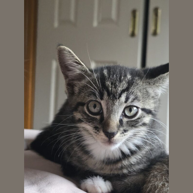 Photo of Jeffrey