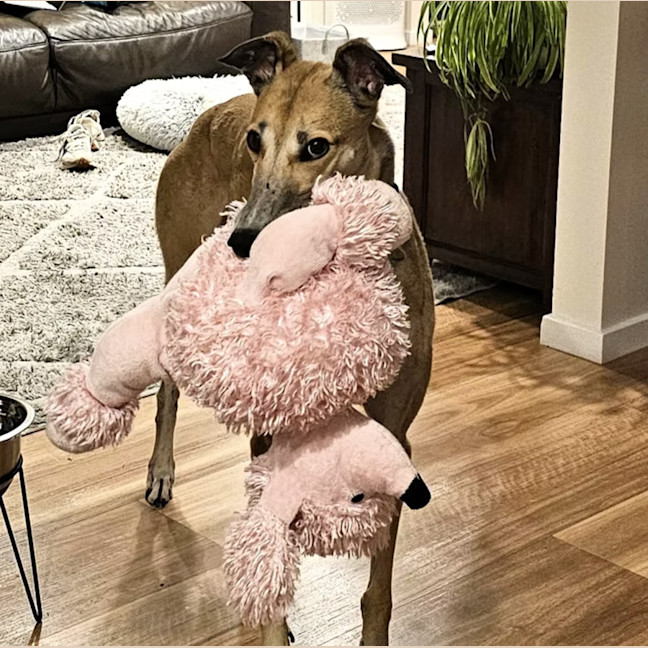 Photo of Rev