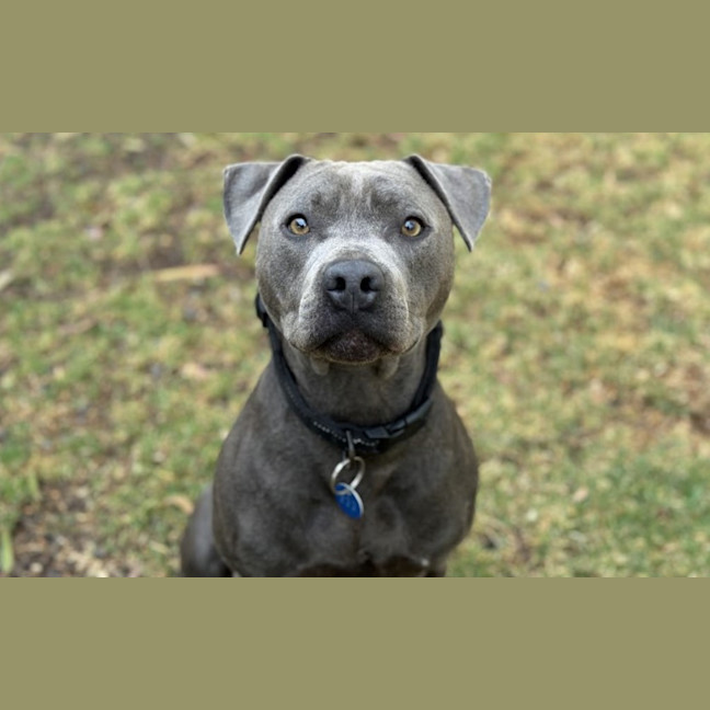Photo of Hercules
