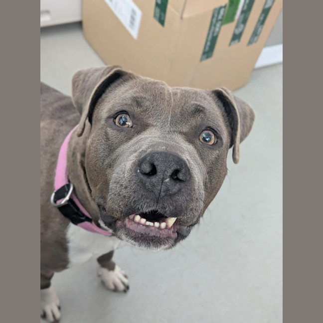 Photo of 🍧 Sassy 6524 🍧