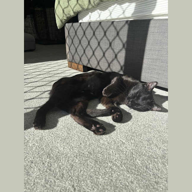 Photo of Merp (Previously Leanne) 