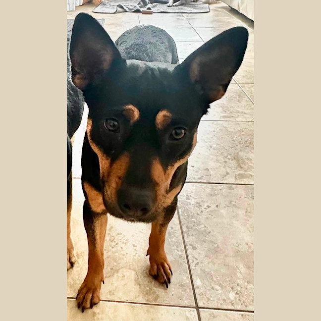 Photo of Winnie