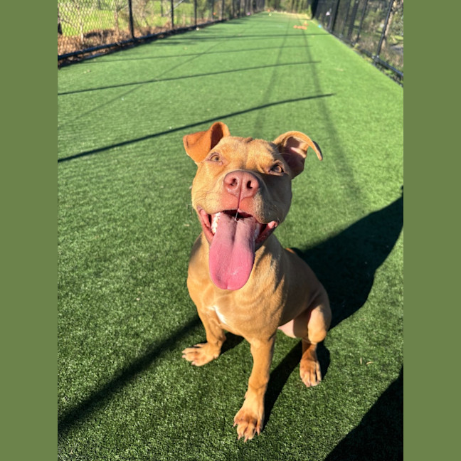 Photo of Zoe Imp 120