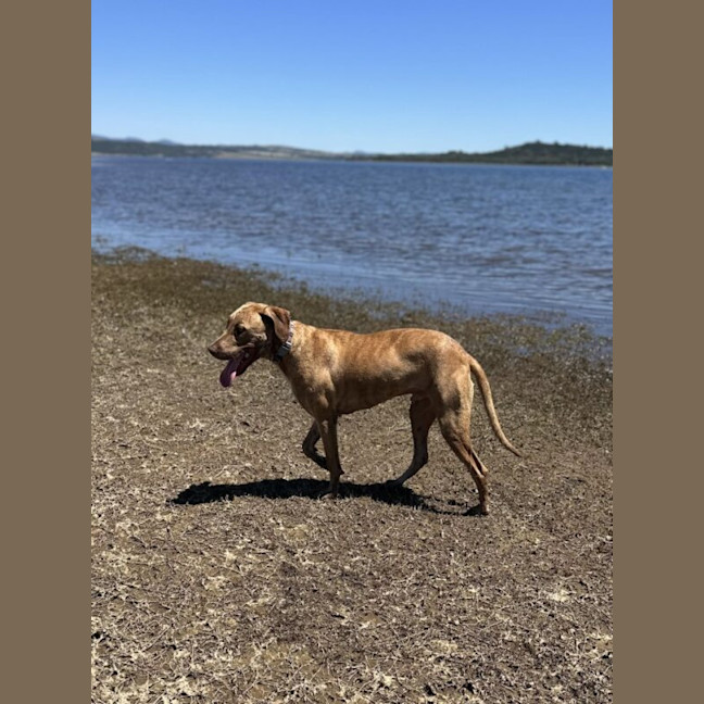 Photo of Jax