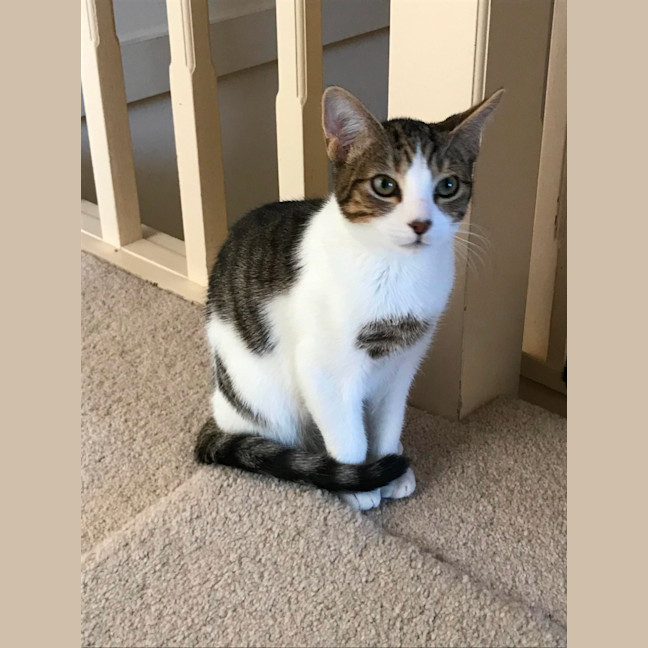 Photo of Jasper