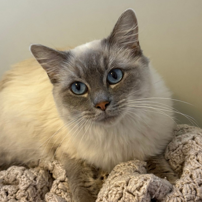 Photo of Evie