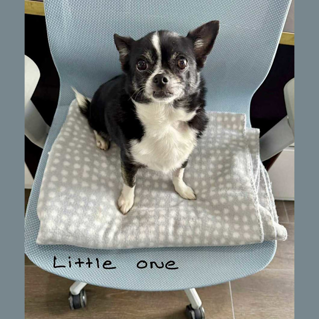 Photo of Cody And Little One