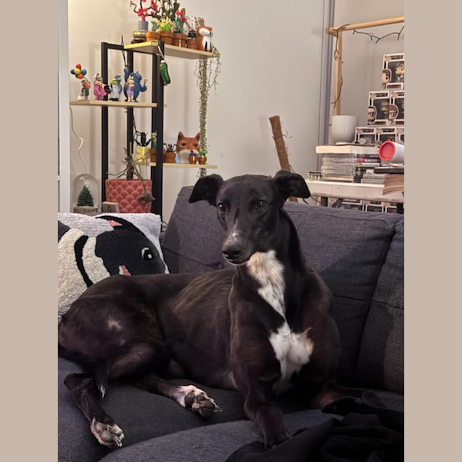 Photo of Alice 