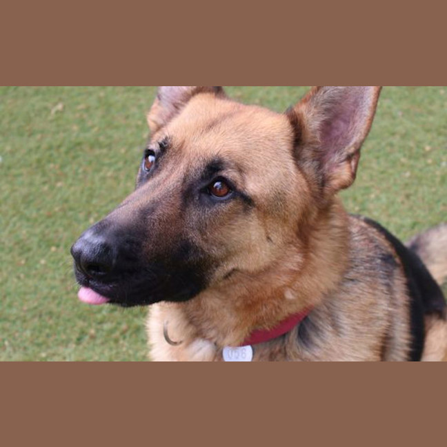 Photo of Agatha