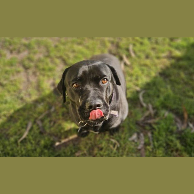 Photo of Betty