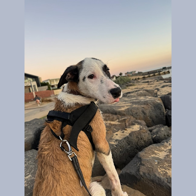Photo of Isla