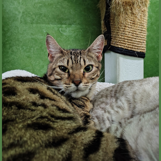 Photo of Tara