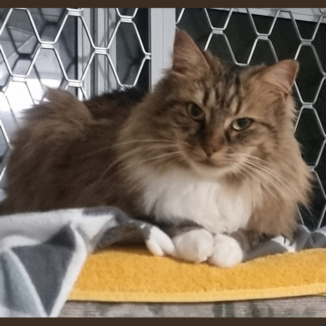 Photo of Daisy