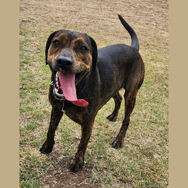 Photo of Sabrina (68383)