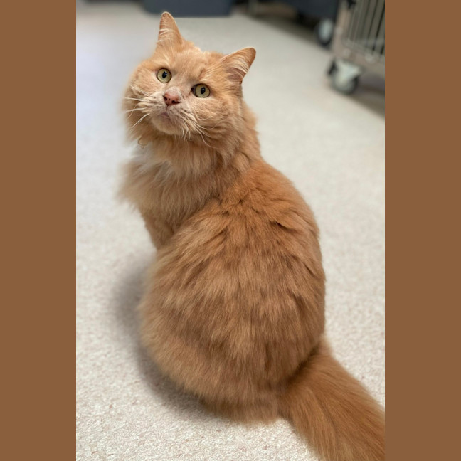 Photo of Garth (0030)