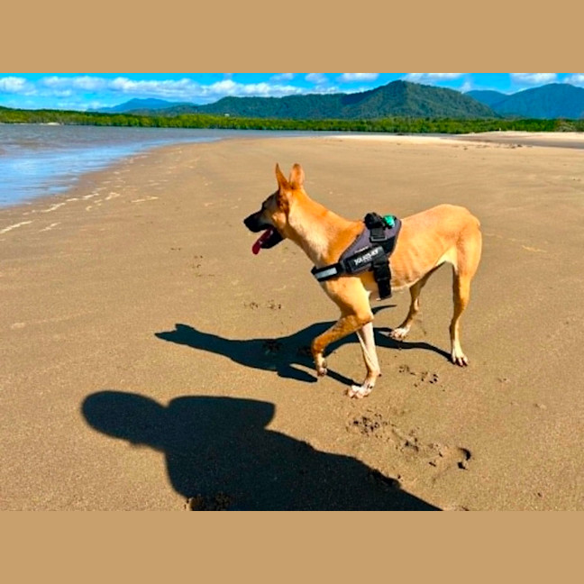 Photo of Nombu
