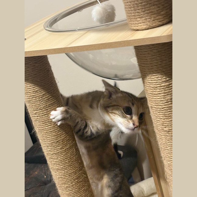 Photo of Cleo