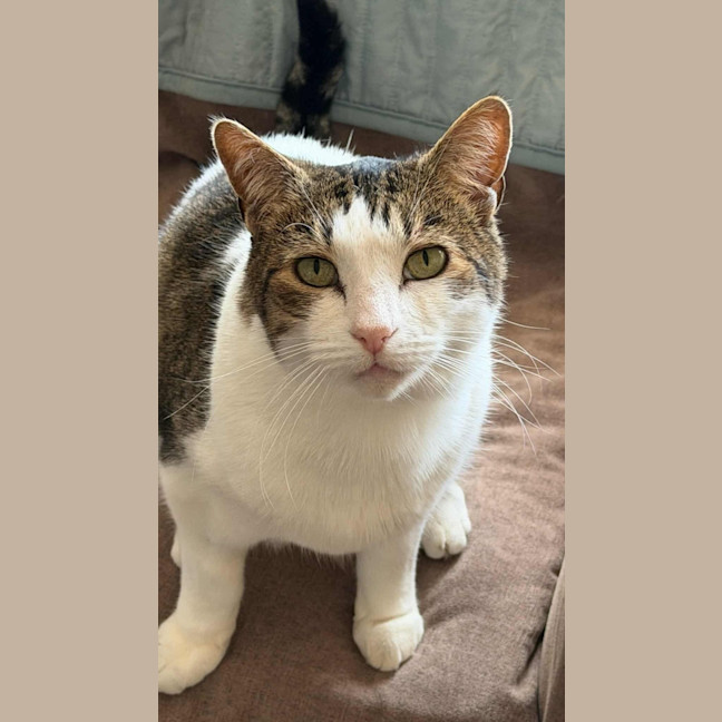 Photo of Jimmy! ❤️ 