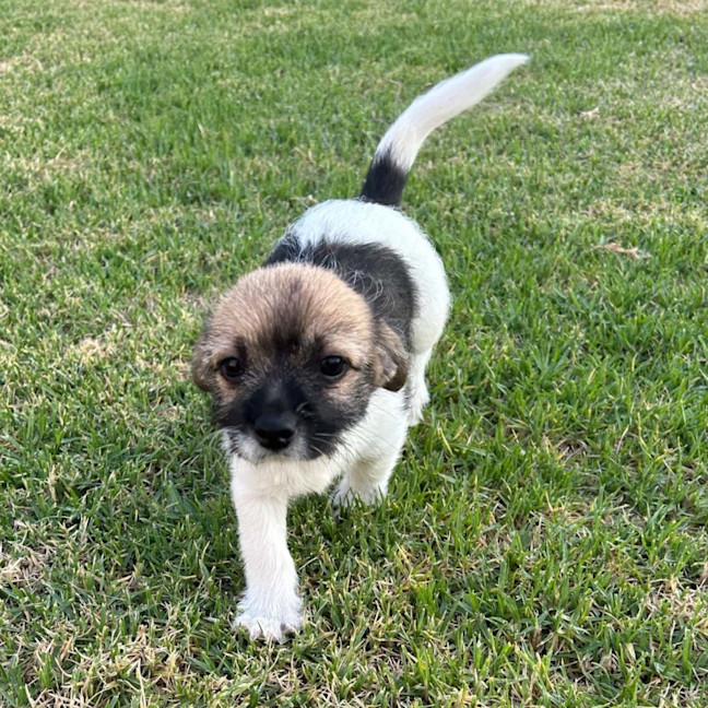 Photo of Emi May