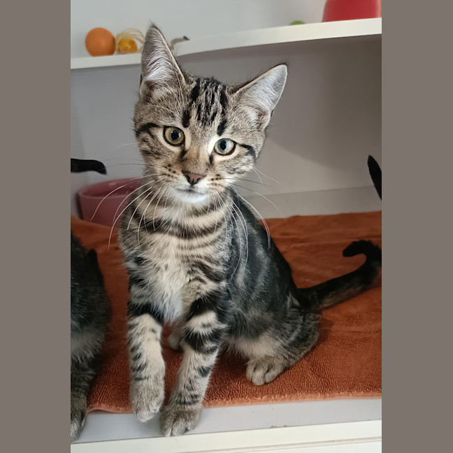 Photo of Wendy