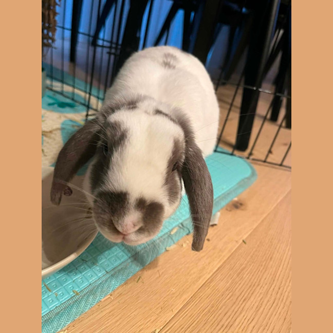 Photo of Asher