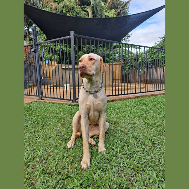 Photo of Bingo