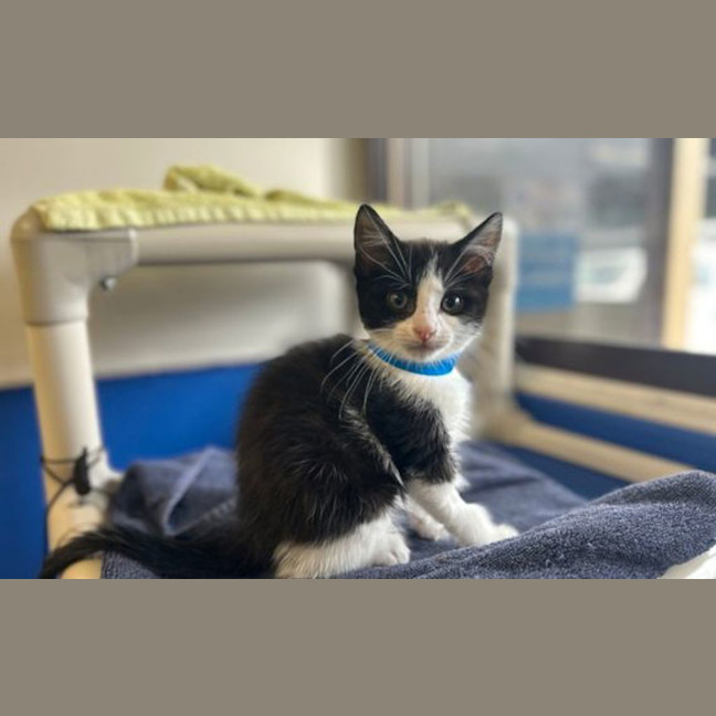 Photo of Spunky