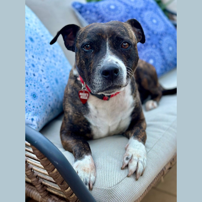 Photo of Popcorn