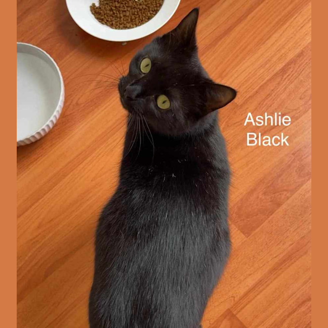 Photo of Ashlie & Lisa