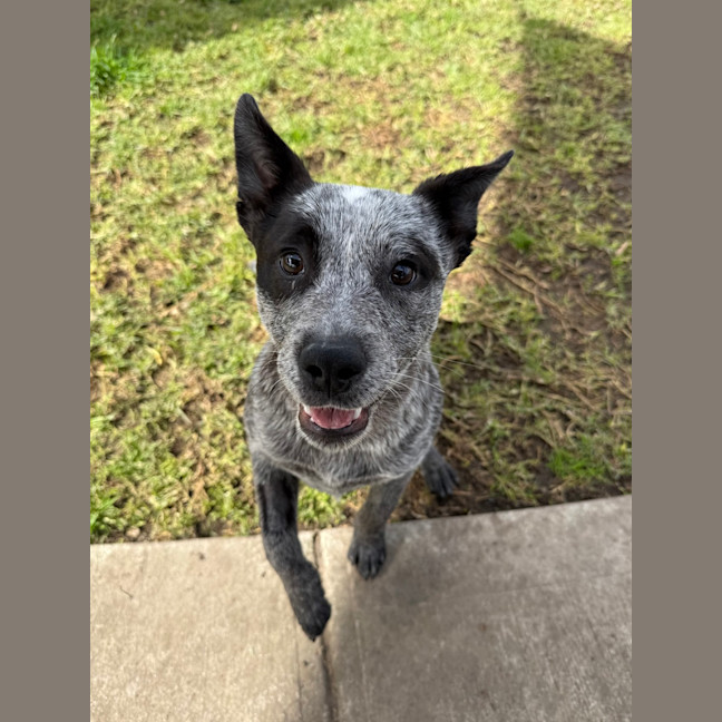 Photo of Luna