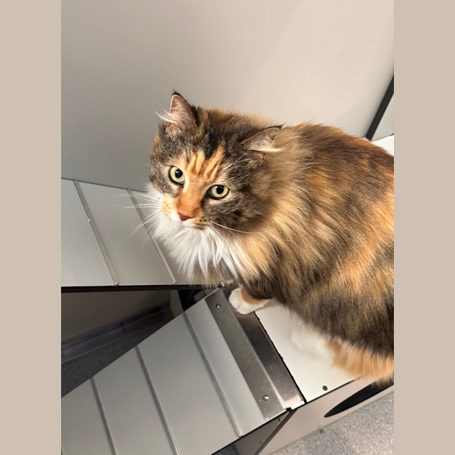 Photo of Sophie