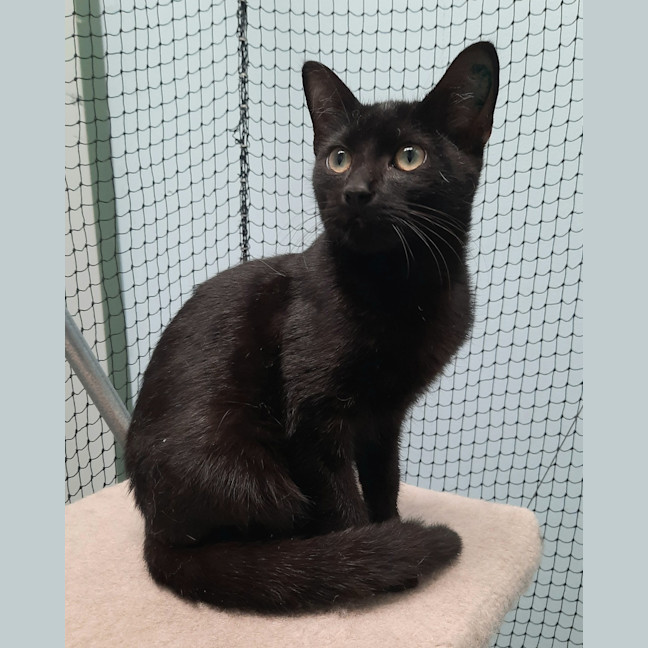 Photo of Stormy