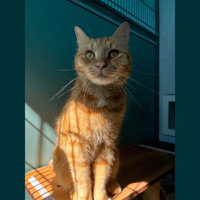 Photo of Fred