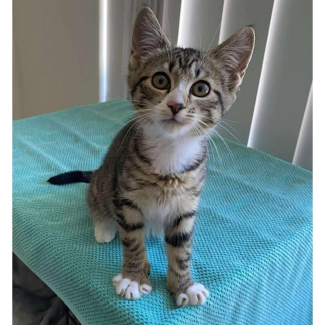 Photo of 13443   Mystery