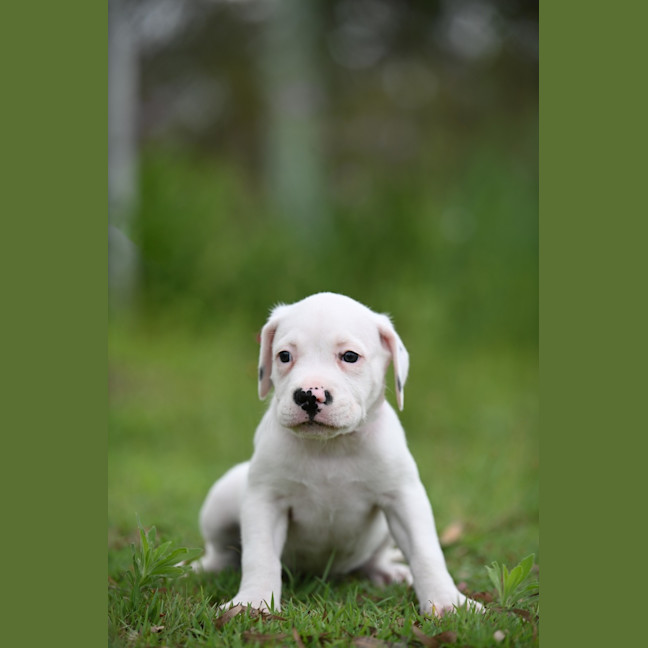 Photo of Hamish