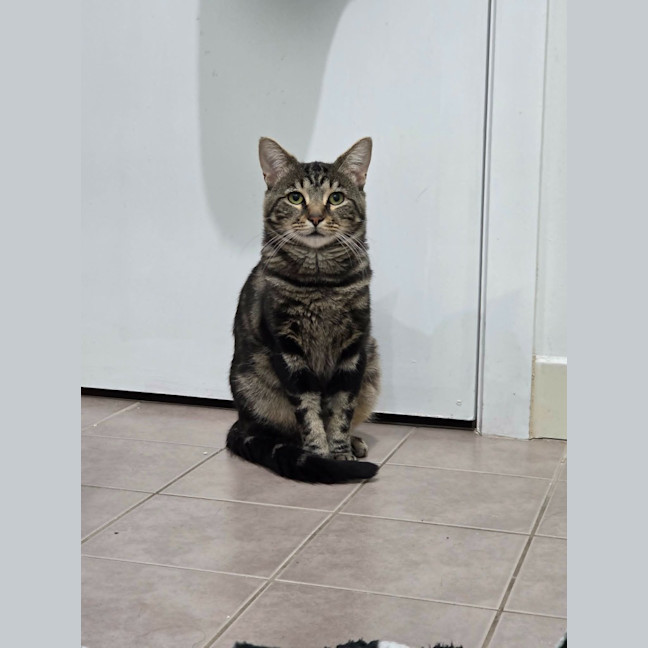 Photo of Buddy