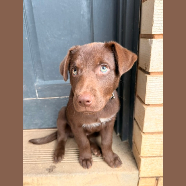 Photo of Twix