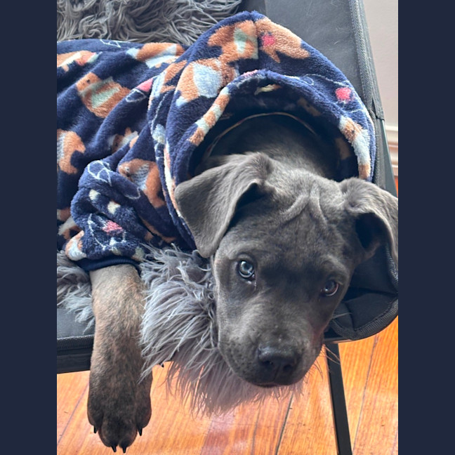 Photo of Enza