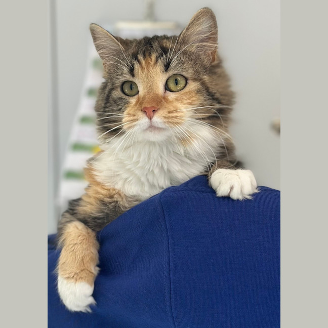 Photo of Crystal