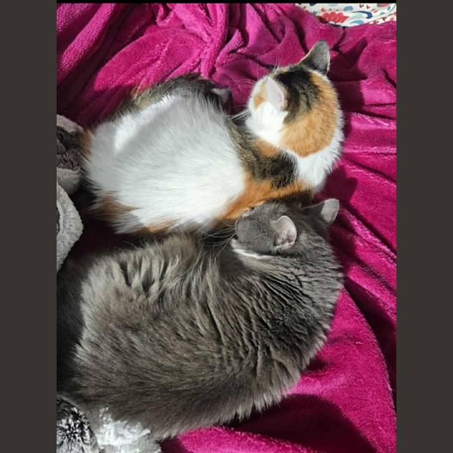 Photo of Evie & Charlotte 