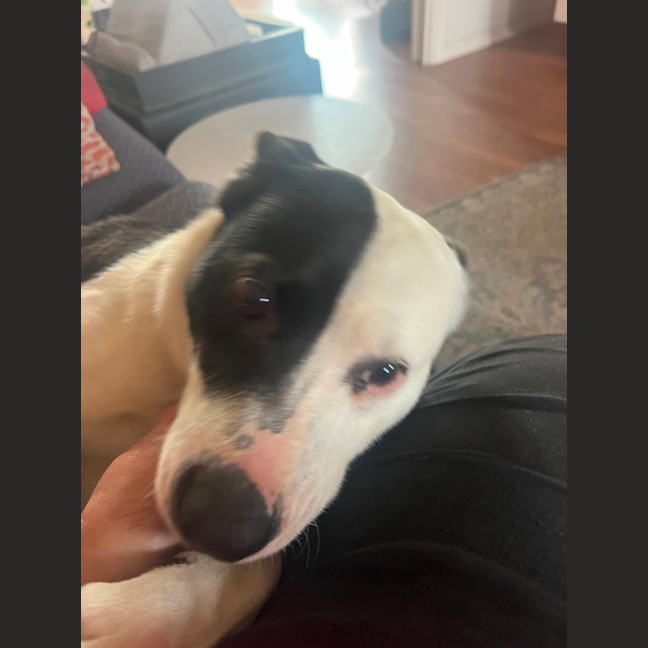 Photo of Heidi